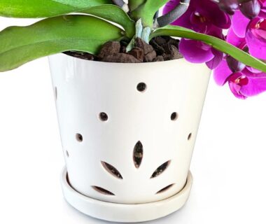 African violet self-watering pots
